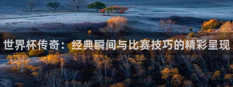 2026世界杯赛程表完整版:世界杯传奇:经典瞬间与比赛技巧的精彩呈现