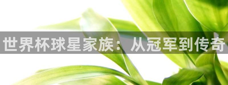 2026年世界杯赛程时间表格:世界杯球星家族:从冠军到传奇