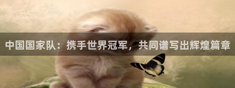 2026世界杯德国队阵容:中国国家队:携手世界冠军,共同谱写出辉煌篇章
