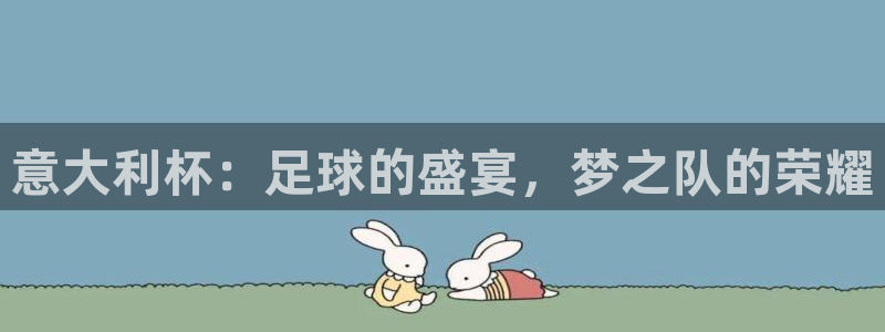 2006世界杯:意大利杯:足球的盛宴,梦之队的荣耀