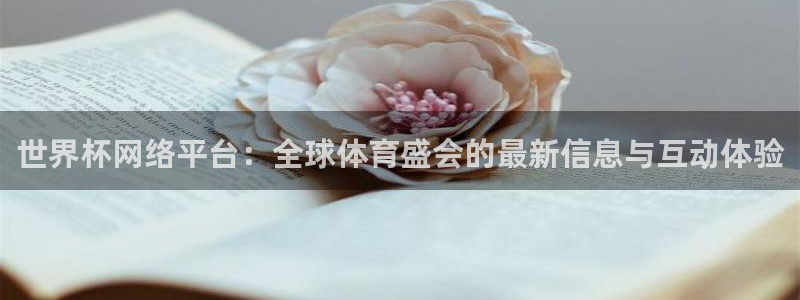 2026世界杯赛程表完整版:世界杯网络平台:全球体育盛会的最新信息与互动体验