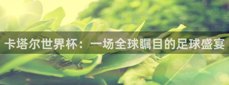 世界杯对阵表:卡塔尔世界杯:一场全球瞩目的足球盛宴