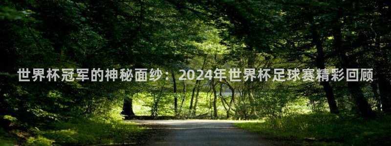 2026世界杯亚洲区预选赛赛程:世界杯冠军的神秘面纱:2024年世界杯足球赛精彩回顾