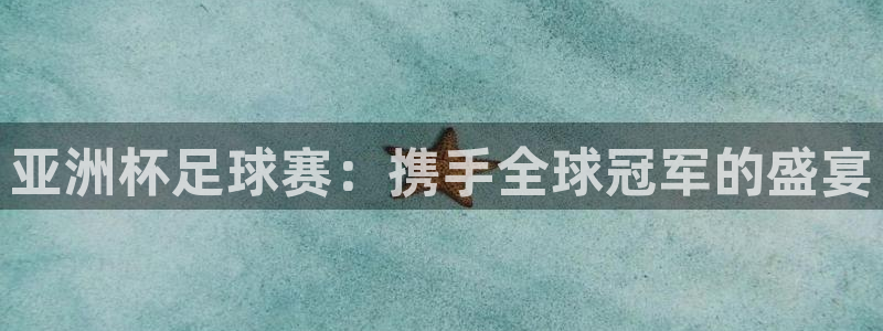 世界杯亚洲区预选赛赛程:亚洲杯足球赛:携手全球冠军的盛宴