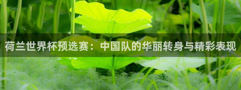 亚洲杯比赛直播:荷兰世界杯预选赛:中国队的华丽转身与精彩表现