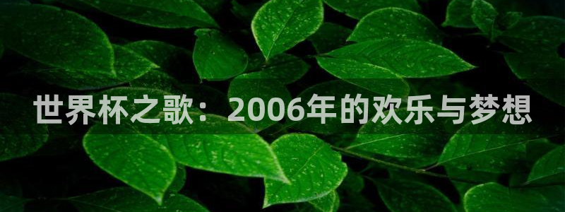 女足世界杯赛程:世界杯之歌:2006年的欢乐与梦想