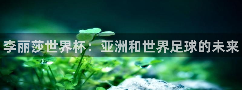 世预赛赛程表:李丽莎世界杯:亚洲和世界足球的未来
