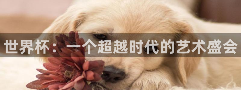 中国 世界杯:世界杯:一个超越时代的艺术盛会