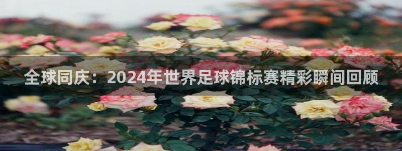 世界杯直播观看:全球同庆:2024年世界足球锦标赛精彩瞬间回顾