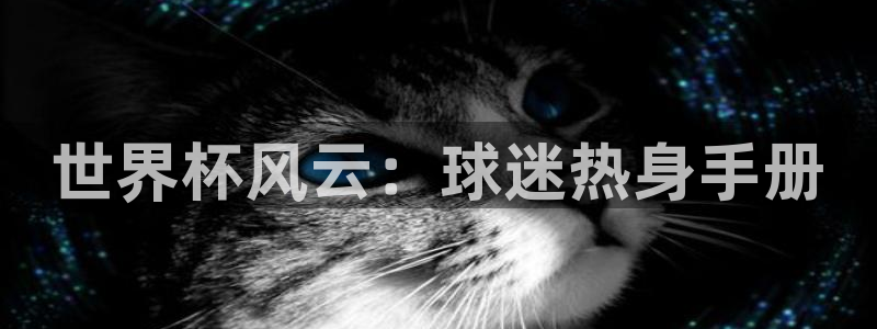 足球杯:世界杯风云:球迷热身手册